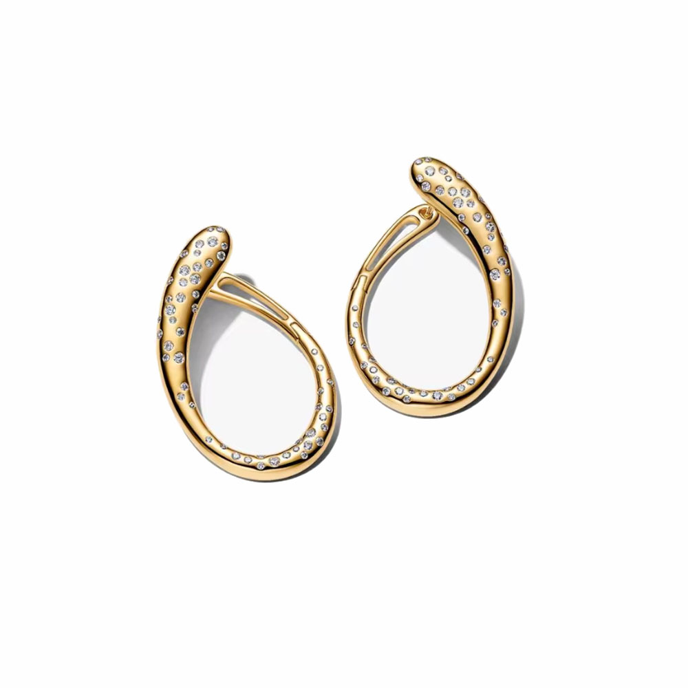 Anting-anting Zirkon Berbentuk - Tie Clip Silver ulasan dan harga